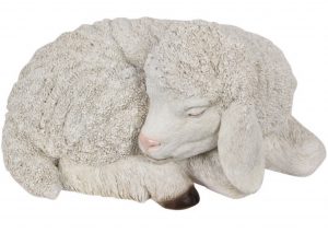 Sleeping Lamb
