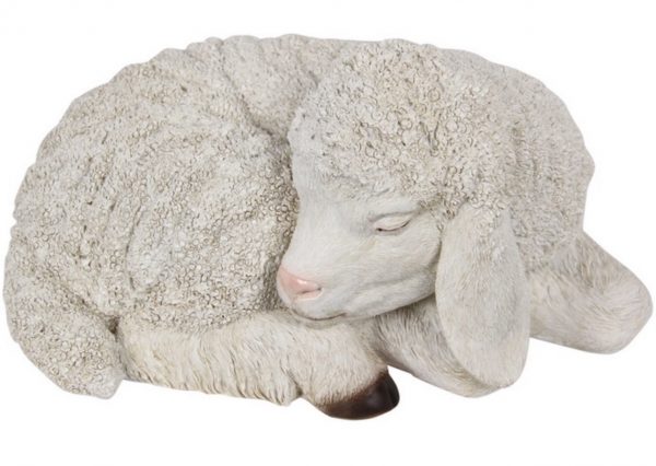 Sleeping Lamb