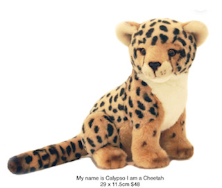 My name is Calypso I am a Cheetah