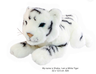 My name is Sheba. I am a White Tiger