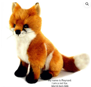 My name is Renard. I am a red fox