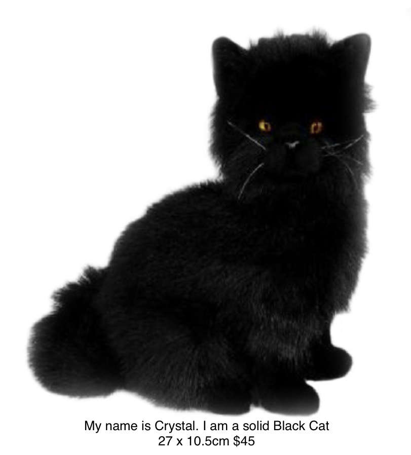 My name is Crystal. I am a solid Black Cat