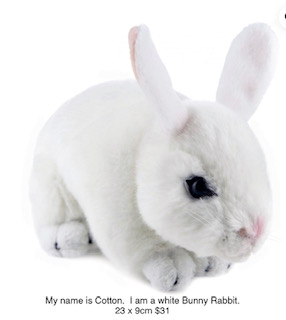 My name is Cotton. I am a white Bunny Rabbit.